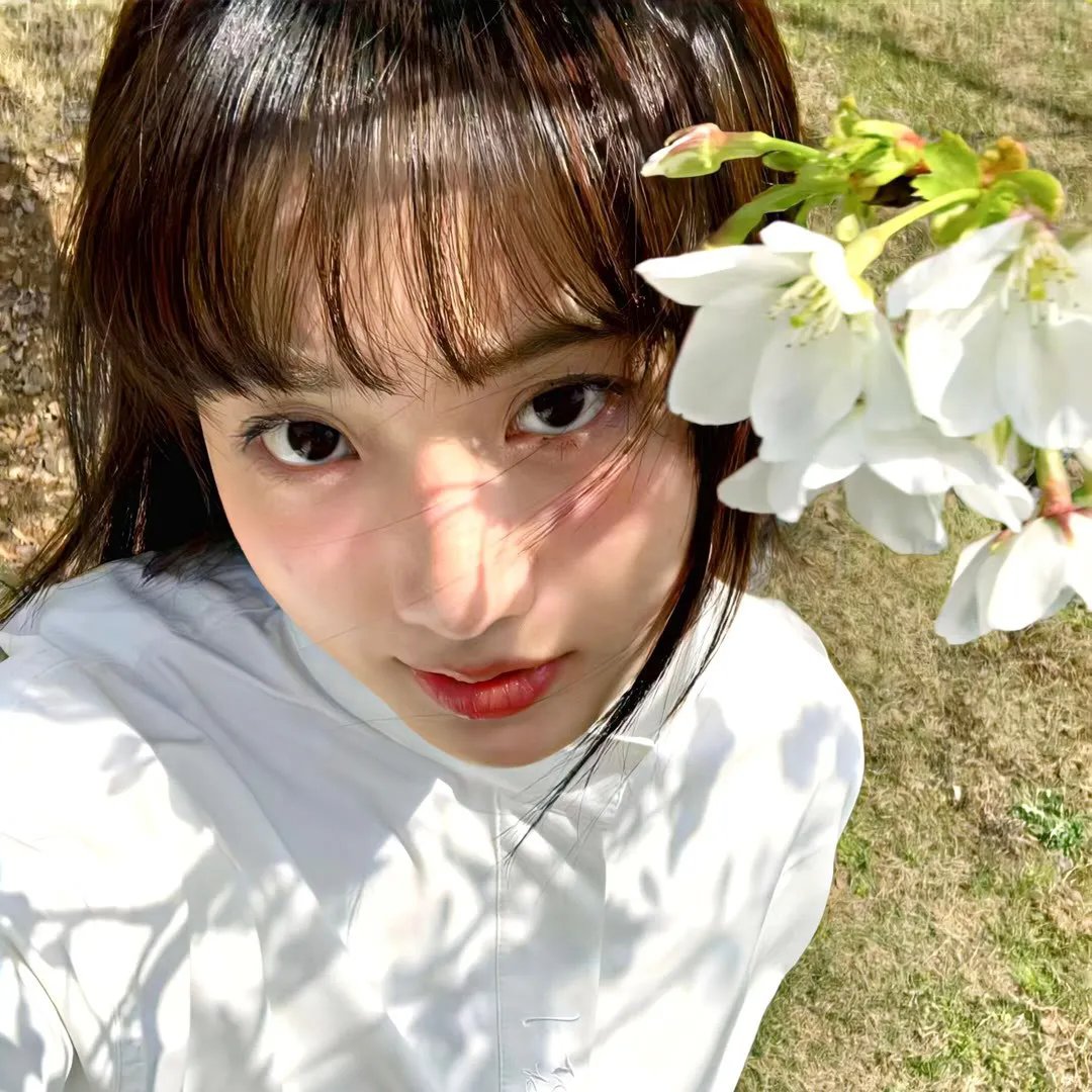 春泛桃花源